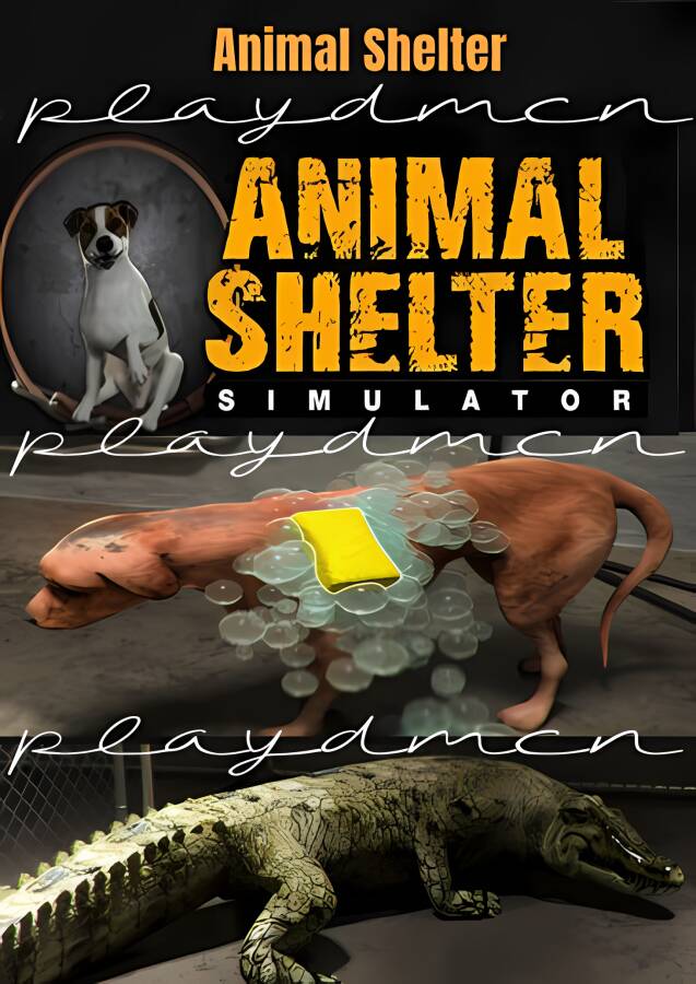动物收容所模拟器/Animal Shelter_喵星博客